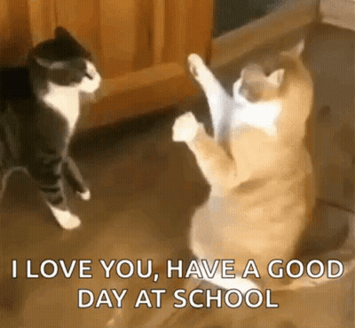 Two Cats Are Standing Next To Each Other On Their Hind Legs And One Of Them Is Holding Another Cat 'S Paw . GIF
