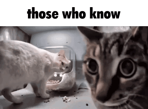 Two Cats Are Standing Next To Each Other With The Words Those Who Know Above Them GIF