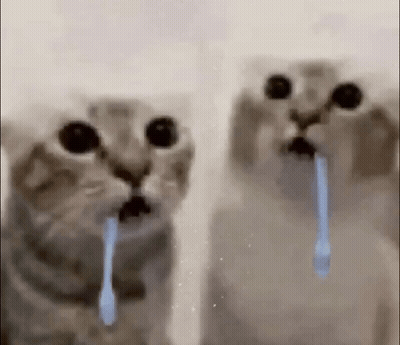Two Cats Are Standing Next To Each Other With Their Mouths Open And Tears Coming Out Of Them . GIF