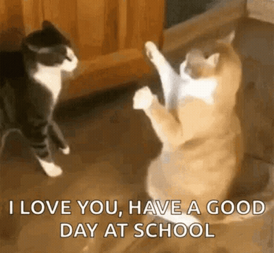 Two Cats Are Standing On Their Hind Legs And One Of Them Is Saying `` I Love You , Have A Good Day At School '' GIF