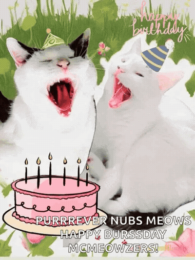 Two Cats Are Yawning Next To A Birthday Cake With Candles . GIF