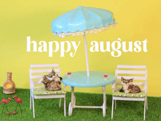 Two Cats Chilling For Happy August GIF