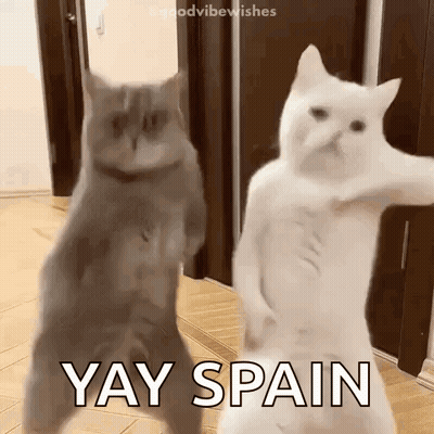 Two Cats Dancing Yay Spain GIF