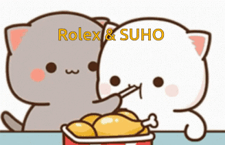 Two Cats Eating Chicken Rolex Suho GIF