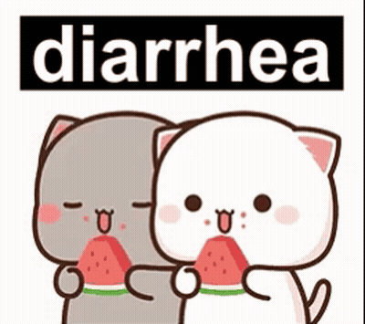 Two Cats Eating Watermelon Saying Diarrhea GIF