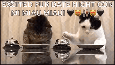 Two Cats Excited Fur Date Night Con Mi Miau Miau GIF