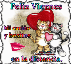 Two Cats Feliz Viernes GIF