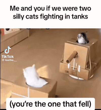 Two Cats Fighting In Cardboard Boxes Saying Me And You GIF