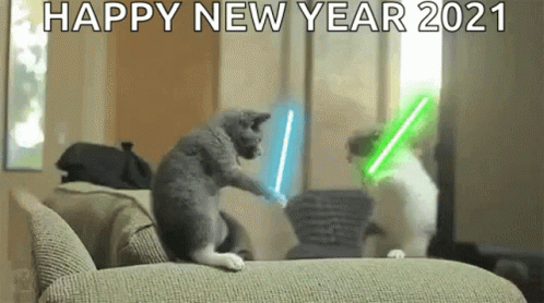 Two Cats Fighting With Lightsabers GIF