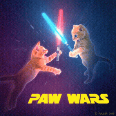 Two Cats Fighting With Lightsabers Saying Paw Wars GIF