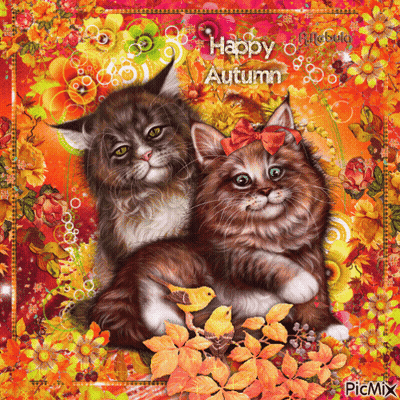 Two Cats Happy Autumn GIF