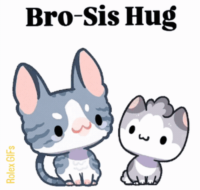 Two Cats Hugging Bro Sis GIF