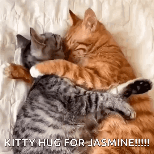 Two Cats Hugging Each Other On A Bed With The Words Kitty Hug For Jasmine Written On The Bottom GIF
