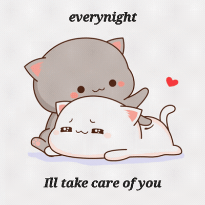 Two Cats Hugging Everynight Ill Take Care Of You GIF