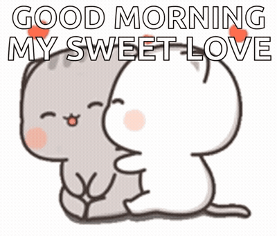 Two Cats Hugging Good Morning GIF