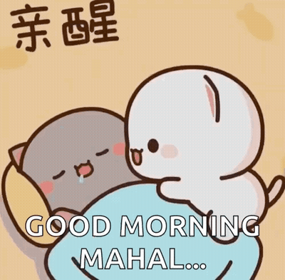 Two Cats Hugging Good Morning Mahal GIF