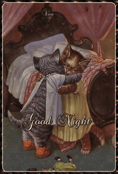 Two Cats Hugging Good Night GIF