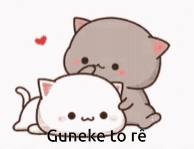 Two Cats Hugging Guneke To Re GIF