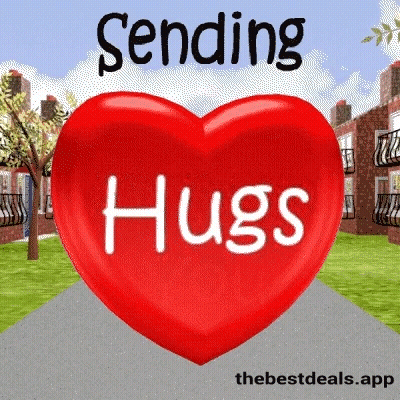Two Cats Hugging Hugs GIF