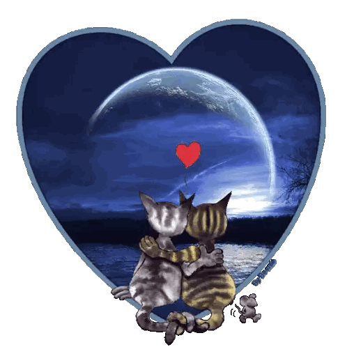 Two Cats Hugging In Heart Frame Sticker