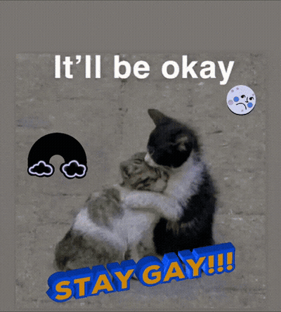 Two Cats Hugging It'll Be Okay Stay Gay GIF