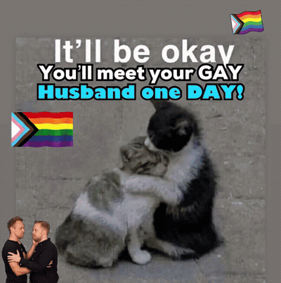 Two Cats Hugging It'll Be Okay You'll Meet Your Gay Husband One Day GIF
