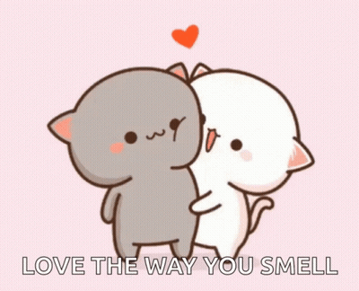 Two Cats Hugging Love the Way You Smell
