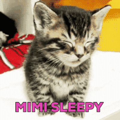 Two Cats Hugging Mi + Mi = Mimi Red GIF