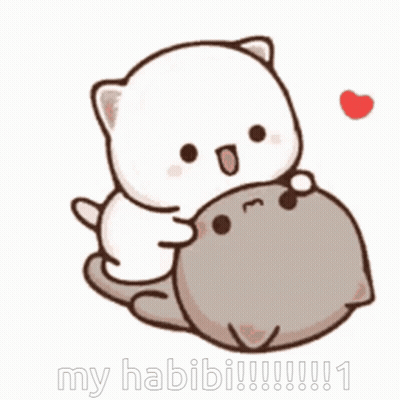 Two Cats Hugging My Habi ! GIF