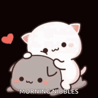 Two Cats Hugging On Black Background GIF
