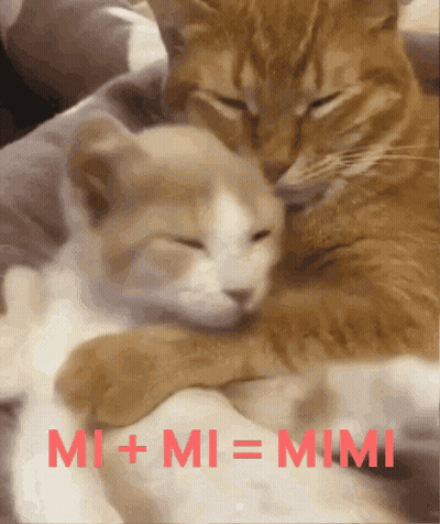 Two Cats Hugging Red Mi + Mi = Mimi GIF