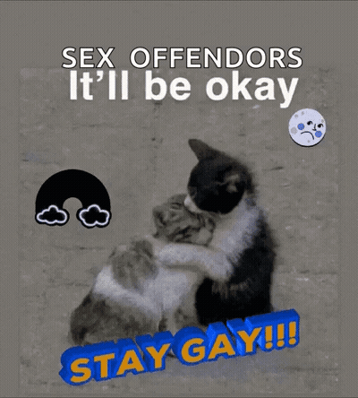 Two Cats Hugging Sex Offenders It'll Be Okay GIF