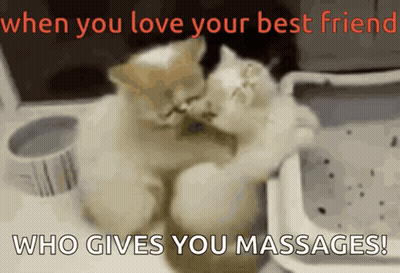 Two Cats Hugging When You Love Your Best Friend Who Gives You Massages GIF