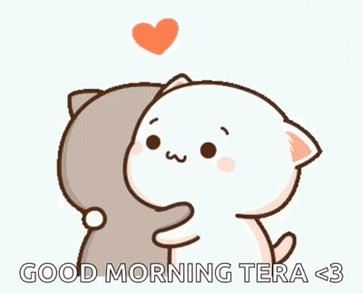 Two Cats Hugging With Heart Saying Good Morning Tera <3 GIF