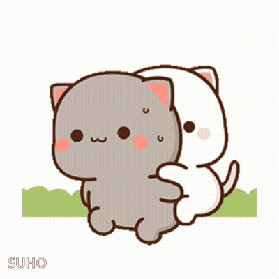 Two Cats Hugging With Suho GIF
