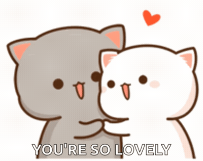 Two Cats Hugging You're So Lovely GIF