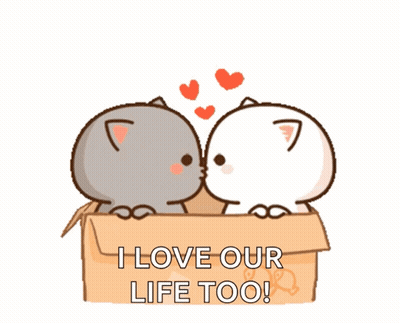 Two Cats In A Box With The Words " I Love Our Life Too " Below Them GIF