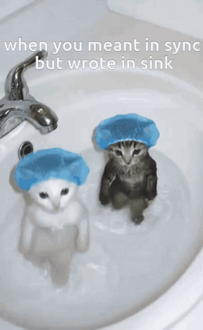 Two Cats In Blue Shower Caps In Sink Saying When You Meant In Syn But Wrote In Sink GIF