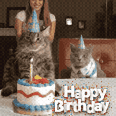 Two Cats In Party Hats Beside Birthday Cake GIF