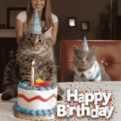 Two Cats In Party Hats Beside Birthday Cake GIF
