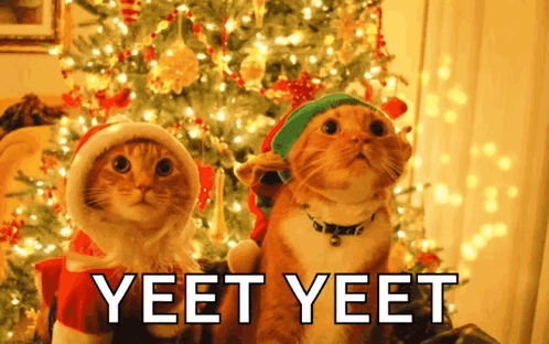 Two Cats In Santa Hats Yeet Yeet GIF