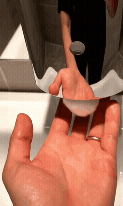 Two Cats In Sink Wearing Squiddy Caps GIF
