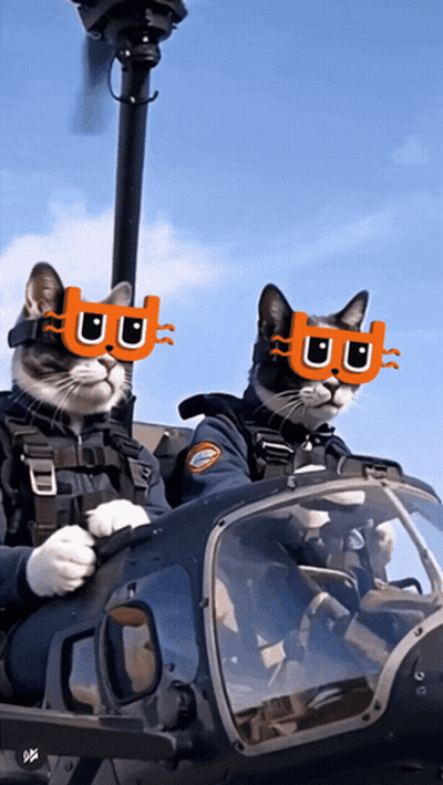 Two Cats in Sunglasses With Letter B in Helicopter