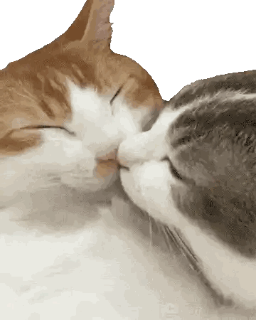 Two Cats Kissing Sticker