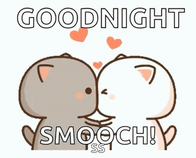 Two Cats Kissing Goodnight GIF