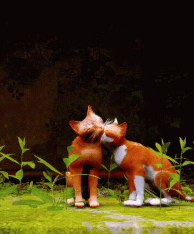 Two Cats Kissing On The Nose In Grass GIF