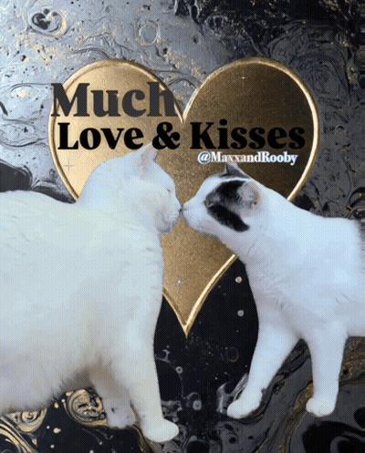 Two Cats Kissing With Heart Saying Much Love And Kisses GIF