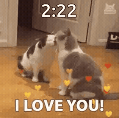 Two Cats Kissing With Hearts GIF