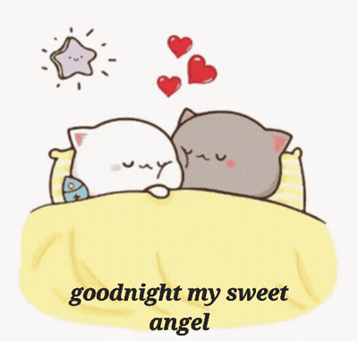 Two Cats Laying In Bed Goodnight My Sweet Angel GIF