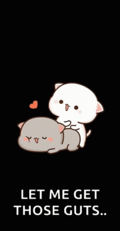 Two Cats Laying Let Me Get Those Guts GIF